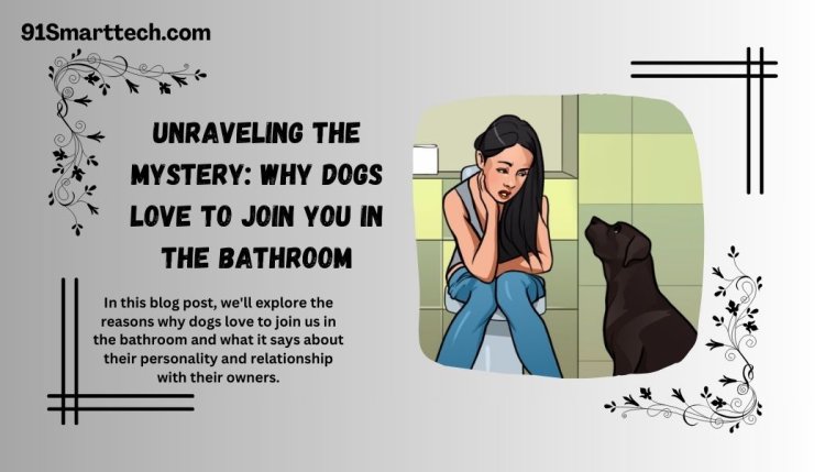 Unraveling the Mystery: Why Dogs Love to Join You in the Bathroom